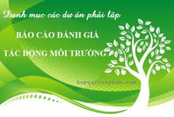 Đánh giá, báo cáo tác động môi trường